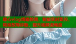 糖心vlog线路检测，智能实时监控，精准故障诊断，提升视频流畅度