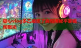 糖心vlog多乙被抓了真相揭秘平家视频曝光