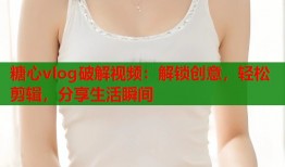 糖心vlog破解视频：解锁创意，轻松剪辑，分享生活瞬间