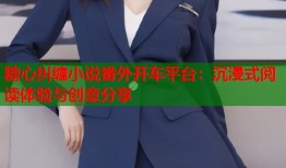 糖心纠缠小说番外开车平台：沉浸式阅读体验与创意分享