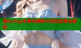 糖心vlog车牌号揭秘与背后故事全解析