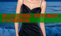 糖心vlog访问受限，探索平台隐私保护与内容管理功能